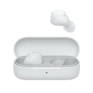 Sony WF-C510 Truly Wireless Earbuds, Small, Light, Bluetooth In Ear Headphones