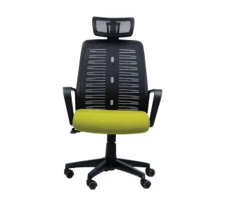 EC- 110 Manager Chair