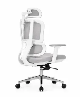 Spine Ergonomic Office Chair ice-gray-with-white-frame