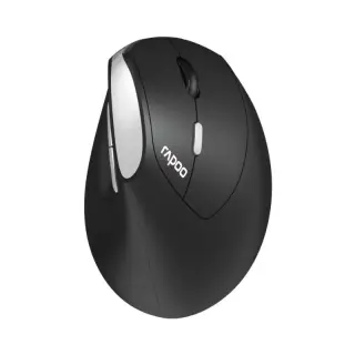Mouse Rapoo EV250 Silent Black Wireless