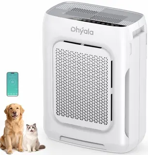 Luftreiniger Allergiker Air Purifier HEPA Luftfilter mit waschbarem Doppelfilter