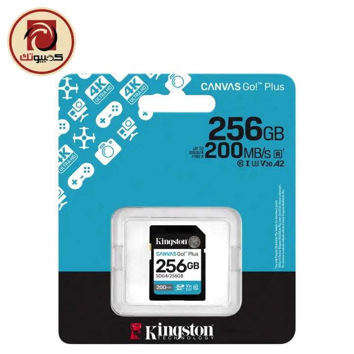 Kingston Canvas Go! Plus 256GB SDXC UHS-I Memory Card (SDG4/256GB)