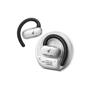 Anker SoundCore Earbuds V40i White (A3878H21)