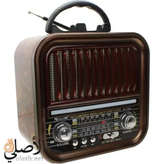 راديو جولون Golon RX-730D سماعة بلوتوث احترافية سوبر باس USB TF بتصميم كلاسيك