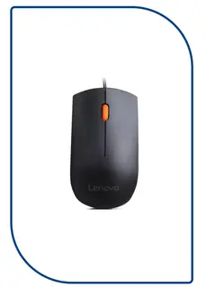 Lenovo 300 Wired USB Mouse, Black (GX30M39704)