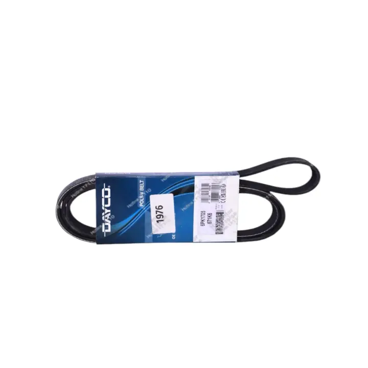 سير مجموعه 6PK1705 انسيجنيا A
‏ ايطالي DAYCO