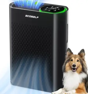 Air Purifier for Large Room, Cleans 2,400 ft² in 30 Mins, 3-Stage True HEPA, 360