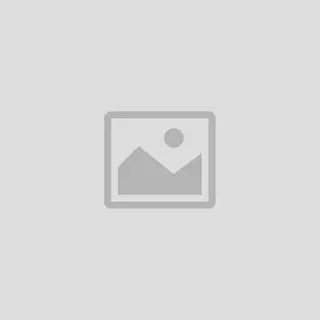 Hand Blender 2 400 Watts