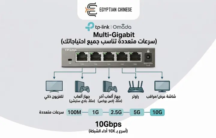 TP-Link Omada DS105X 5-Port 10G Multi-Gigabit Switch, سويتش 5 منافذ 10 جيجابت للشركات والمكاتب