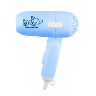 Pet Hair Dryer