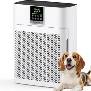 Air Purifier for Home and Bedroom up to 2180 Ft², CADR 200 M³/H, HEPA Air Clean