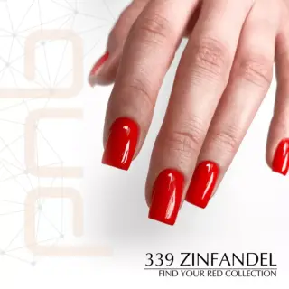Pnb Russian Collection 8ml 339