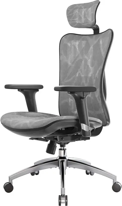 SIHOO M57 Ergonomic Mesh Office Chair, High Back Chair with Lumbar Support