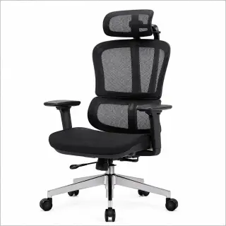 Spine Ergonomic Office Chair jet-black