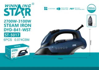 Steam Iron