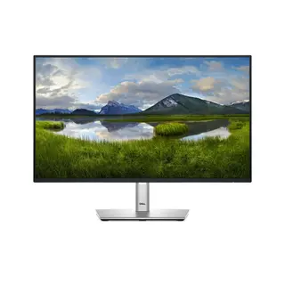 Dell P2425HE 24 Inch Monitor