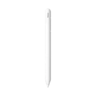 APPLE PENCIL (USB-C)