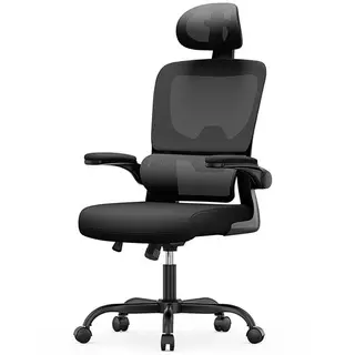 Office Chair with Lumbar Support, Adjustable Headrest & Flip-Up Armrests