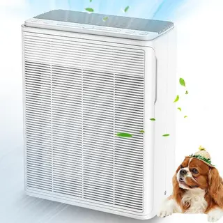 Air Purifier for Home Large Rooms Up to 2000 Ft²,3-in-1 H13 HEPA for Pet